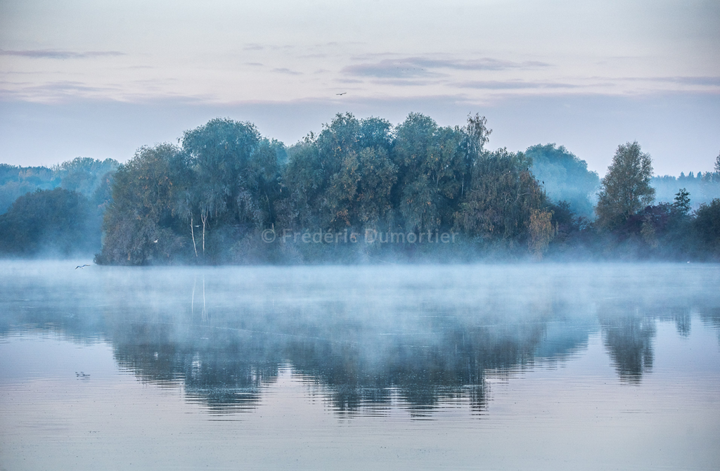 Brouillard sur l'eau devant un bois.