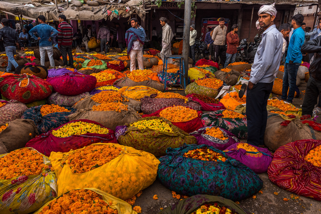 Des hommes se tiennent debout parmis des sacs de fleurs oranges. Les sacs sont multicolores et le visage des hommes est sérieux. 